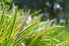 岳麓區(qū)高端網(wǎng)站建設的流程